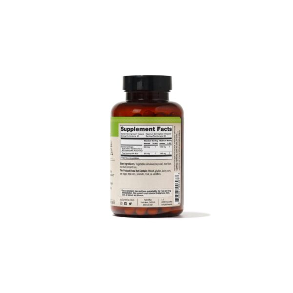NatureWise Garcinia Cambogia extracto estándar 60% HCA para peso
