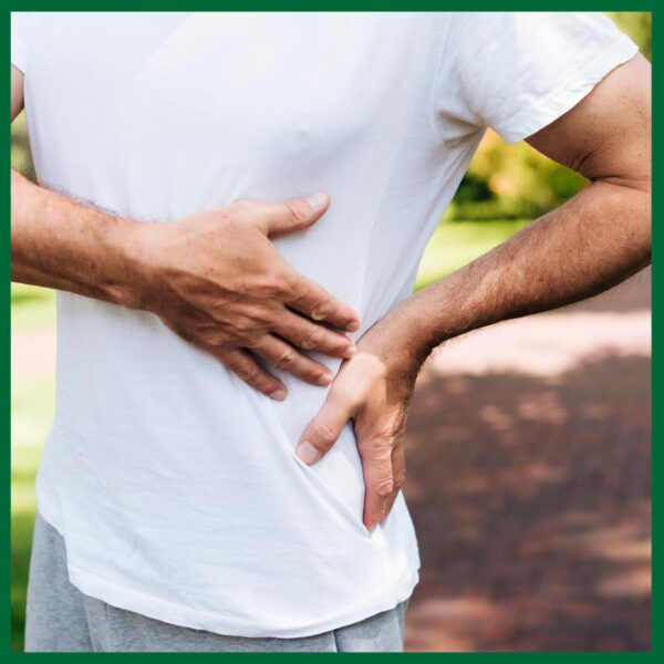 Detalle tabletas VEDIKROOTS Punarnavadi Guggulu