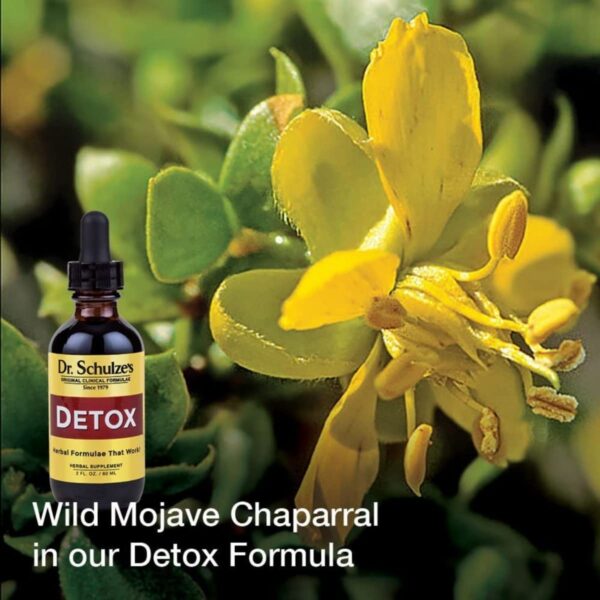 Detalle etiqueta ingredientes limpieza renal Dr. Schulze