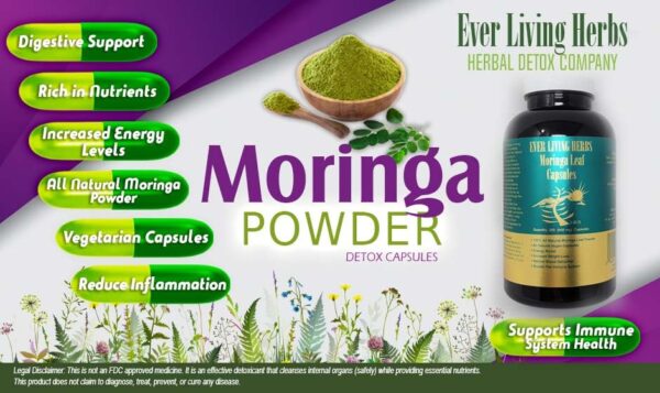 Suplemento Ever Living Herbs para bienestar y defensas naturales