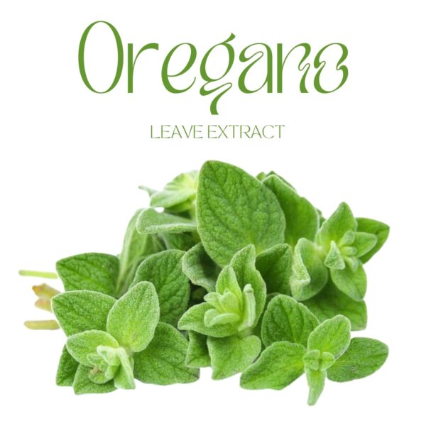 OLANTA cápsulas vegetales para detox y bienestar integral