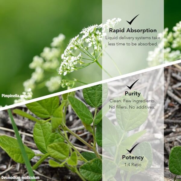 Detalle presentación tintura mezcla herbal detox 4 oz