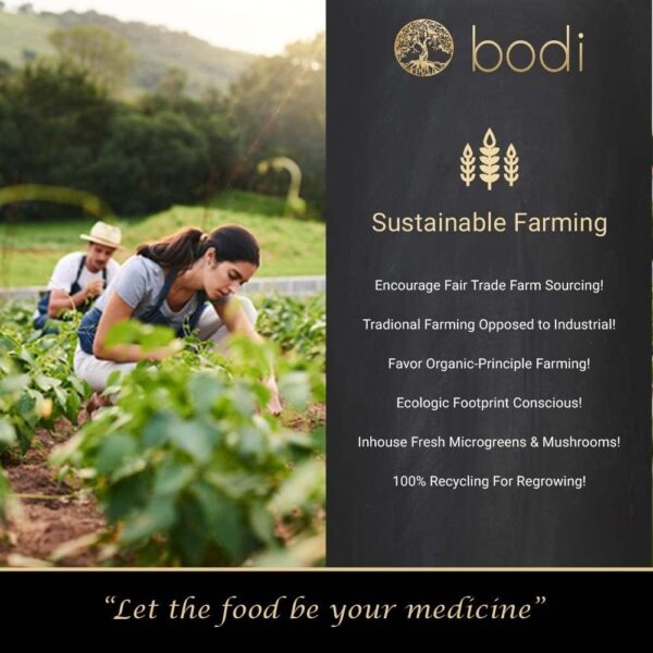 Hoja de Jiaogulan cuerpo y salud polvos bodi