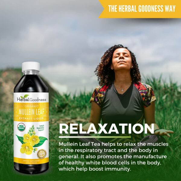 Vista lateral botella extracto líquido de gordolobo Herbal Goodness