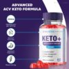 envase gomitas rize labs keto para perder grasa abdominal