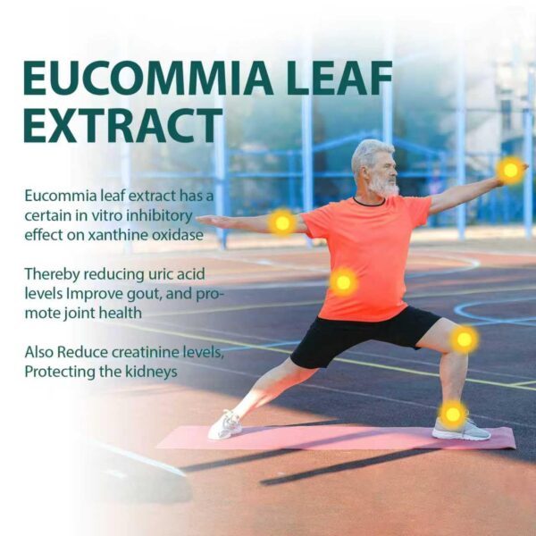 Extracto de hoja de eucommia y apio