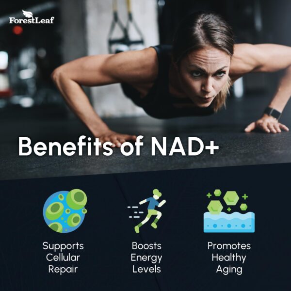 ForestLeaf Berberina NAD+ set