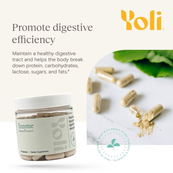 Componentes del paquete detox Yoli para salud integral y energía