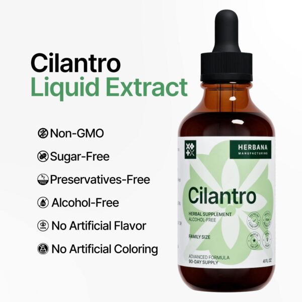 Tinctura herbal de cilantro para sistema nervioso