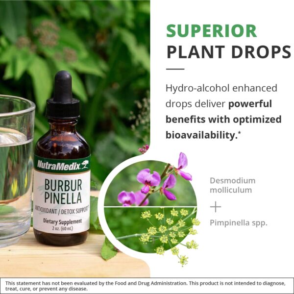 Suplemento NutraMedix para detox corporal completo y claridad mental