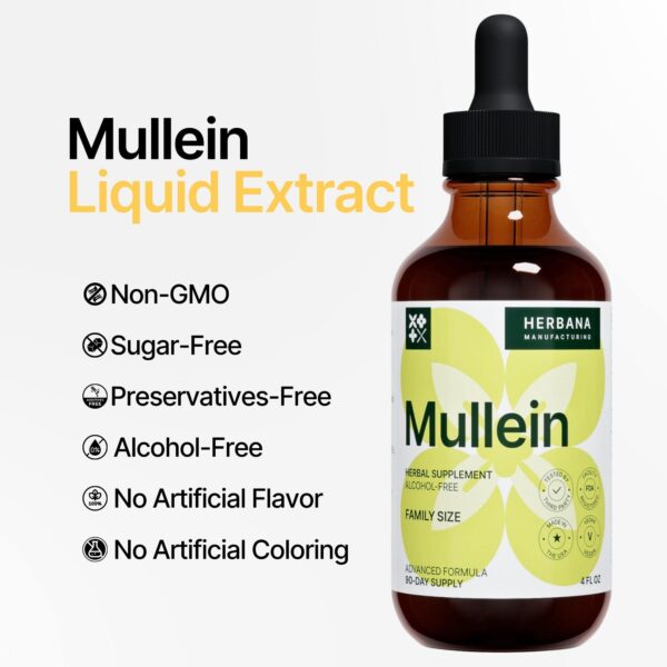 Extracto líquido hoja de gordolobo para salud pulmonar y bienestar