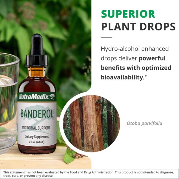 Version 1.0.0 Caja y botellas tinturas NutraMedix Banderol y Burbur-Pinella