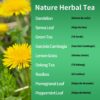 Té detox para mujeres con respaldo de herbolaria natural