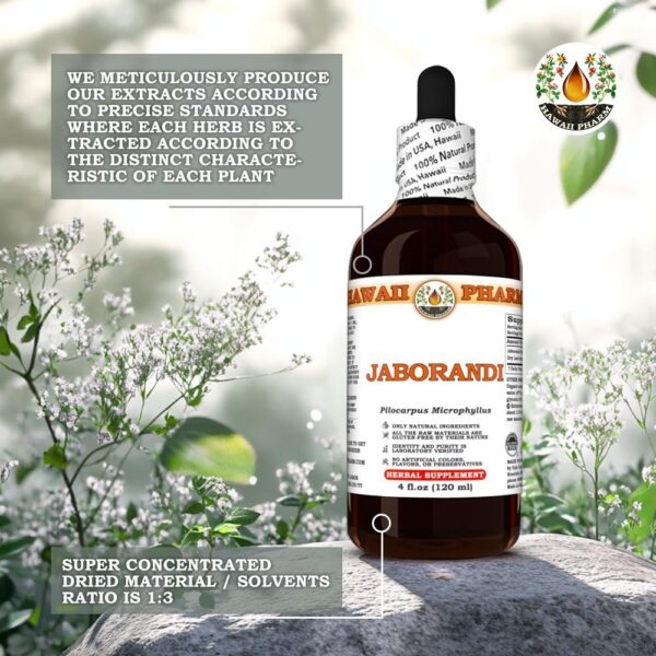 Jaborandi extracto para confort digestivo y desintoxicación