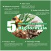 C-Tox lista de ingredientes