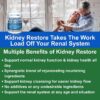 Version 1.0.0 Kit completo Kidney Restore para salud renal