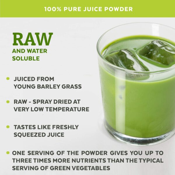 Polvo de arándano antioxidante para smoothie detox