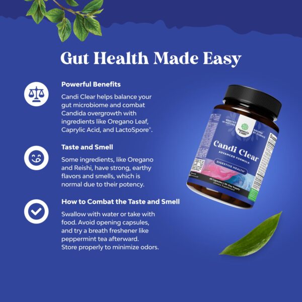 Ingredientes naturales para detox corporal Natures Craft