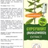 Frasco de vidrio con gotero de extracto Royal Brand Gypsywort