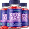 rize labs slim fusion keto acv gomitas apoyo pérdida peso