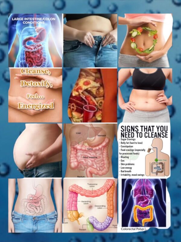 Cápsulas veganas limpiador de colon Miracle Oxy-Colon