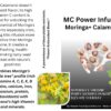 Version 1.0.0 Paquete de MC Power Infusion con sabor naranja para detox y energía