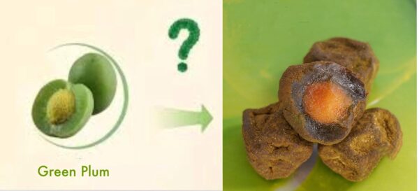 Paquete individual suplemento digestivo de ciruelas verdes