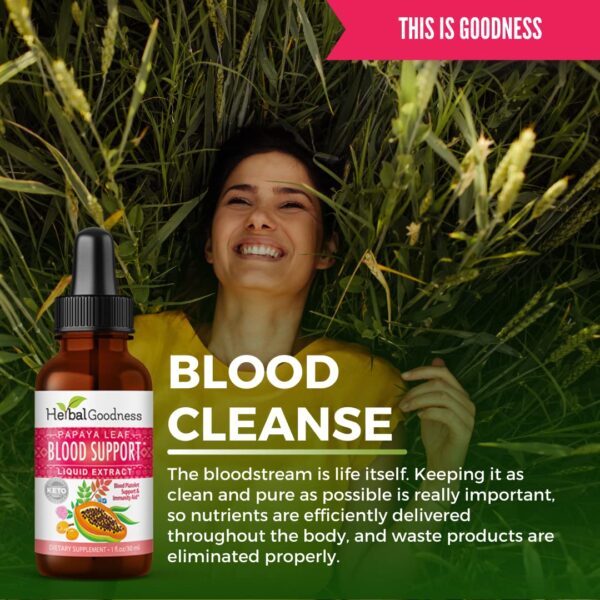 papaya sangre saludable y soporte médula ósea herbal