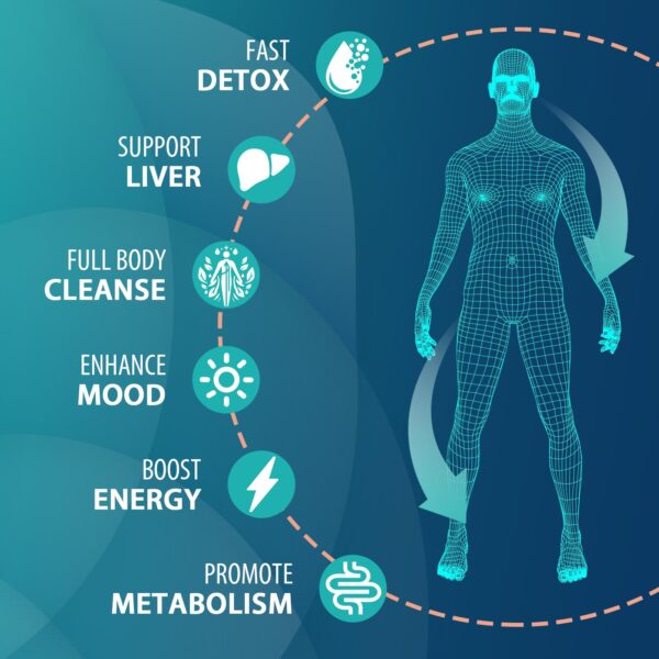 Detox rápido cápsulas naturales para sistema urinario y circulatorio