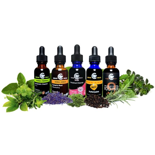 Caja y etiqueta Cedar Bear suplemento linfatico niños herbal