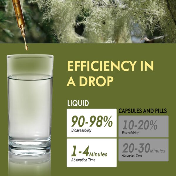 Ingredientes naturales Usnea y 4 hierbas FIOLIVAD suplemento