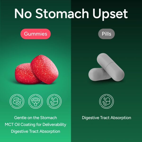 Gomitas Purify Life Berberine con sabor a sandía