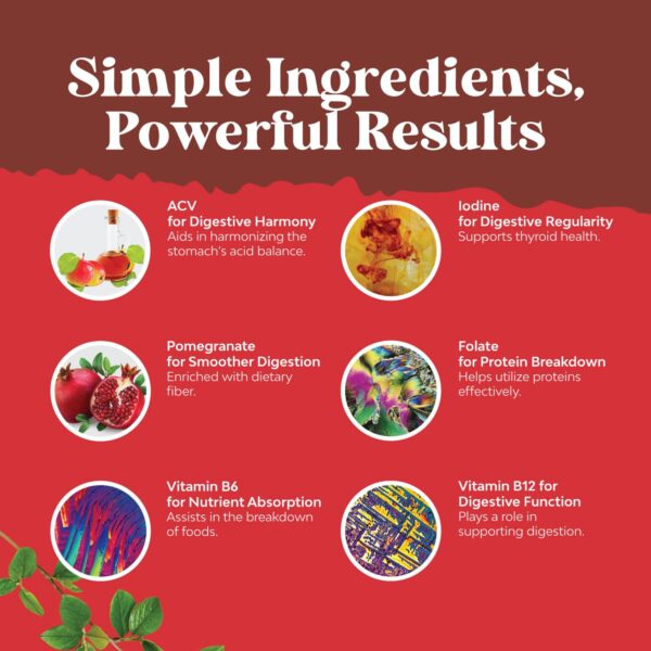 Gomitas Natures Craft apoyo energía y metabolismo saludable