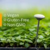 Extracto líquido bardana libre de gluten no GMO para salud y detox
