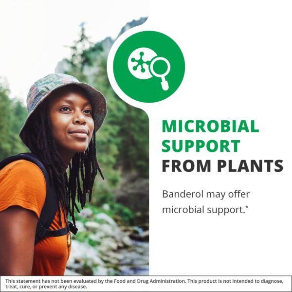 Version 1.0.0 Botella tintura Burbur-Pinella NutraMedix para detox 2oz