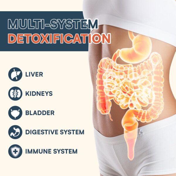 Polvo detox natural para limpiar cuerpo y órganos Hesperilyntis