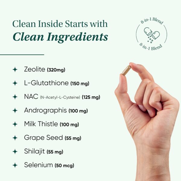 Ingredientes principales de Zeolite Detox