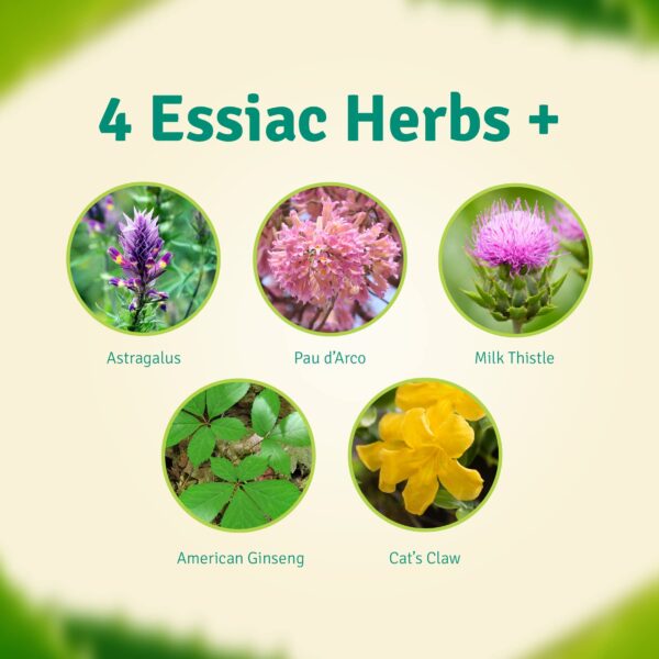 Aloe Life fórmula detox plus herbal para apoyo digestivo