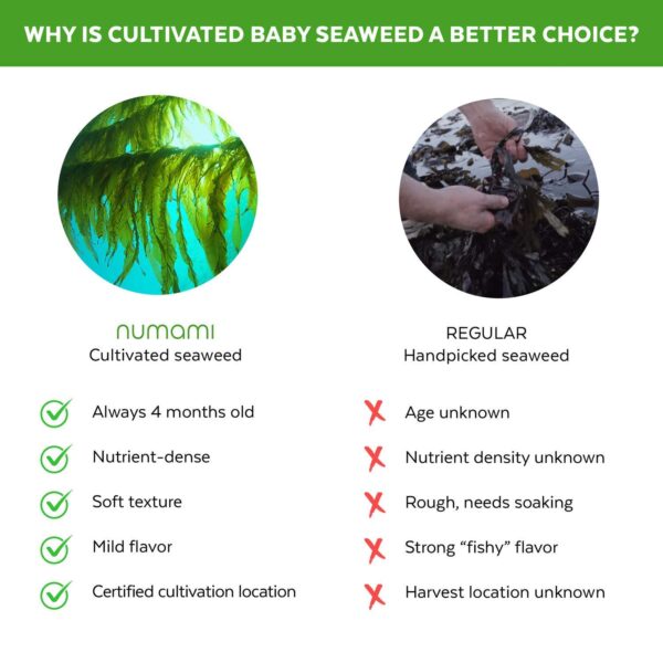 Numami polvo jugo de cebada y alga dulse