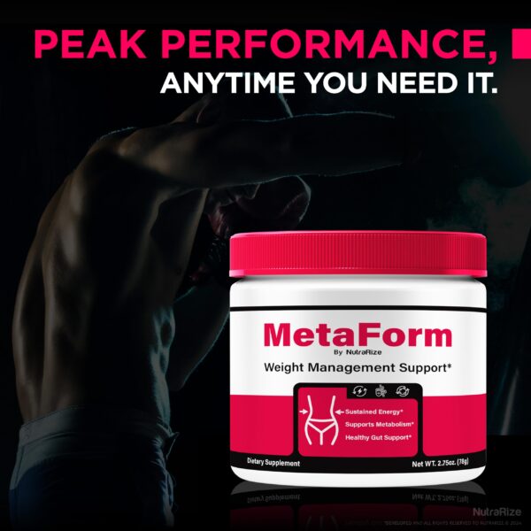 Polvo MetaForm sabor original para vida activa y energía