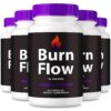 Frasco cápsulas BurnFlow para energía y metabolismo 60 caps