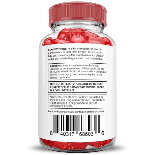 Suplemento delicioso Go 90 Keto ACV Gummies para apoyo diario