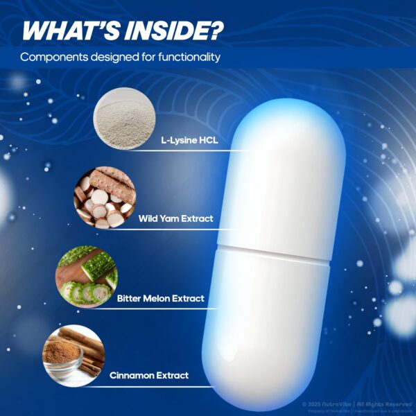 Version 1.0.0 Supplement MemoGenesis NutraVibe para energía estable sin efectos secundarios