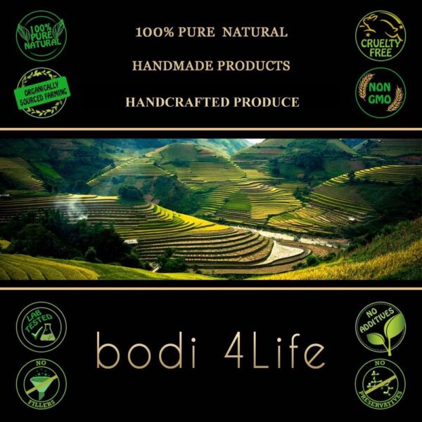bodi recipiente polvo rhodiola rosea 3 por ciento salidroside natural