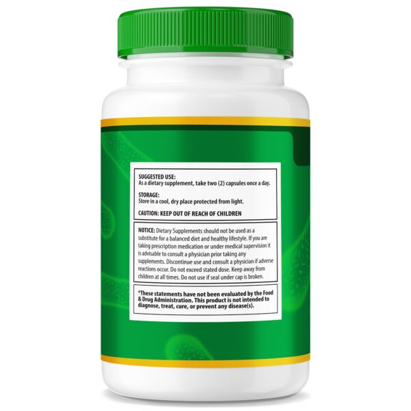 Suplemento GoldenFrib ingredientes naturales para bienestar digestivo