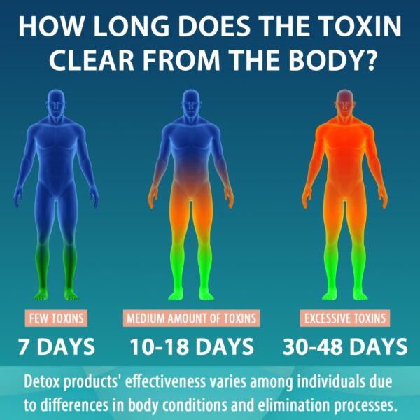 Ingredientes naturales fórmula detox sin rellenos ni aditivos