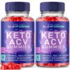 rize labs Slim Fusion Keto ACV gomitas paquete 2 120 piezas