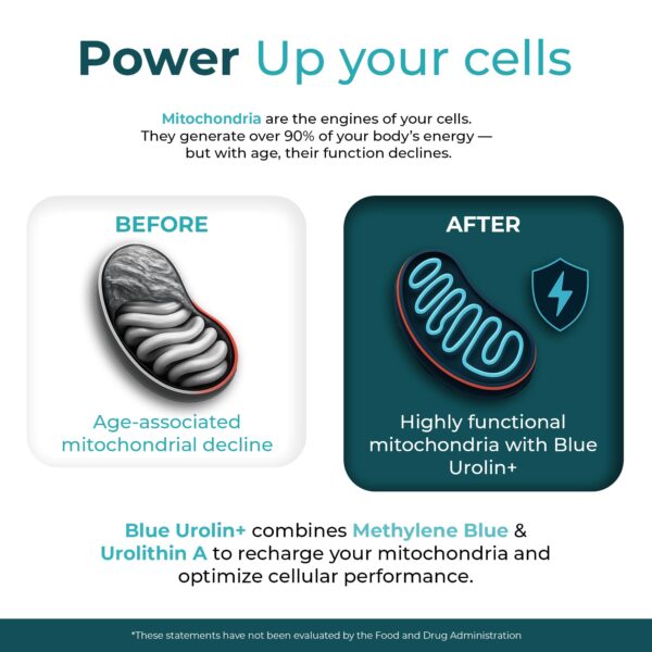 Vista lateral del suplemento Blue Urolin + The One Healer para soporte celular y digestivo
