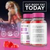 Paquete 2 Nutratrim Labs gomitas keto acv para bajar peso