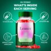 Leanix Keto ACV Gummies suplemento dietético apoyo keto natural